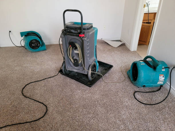 Best Water damage restoration near me  in Lawrenceburg, IN