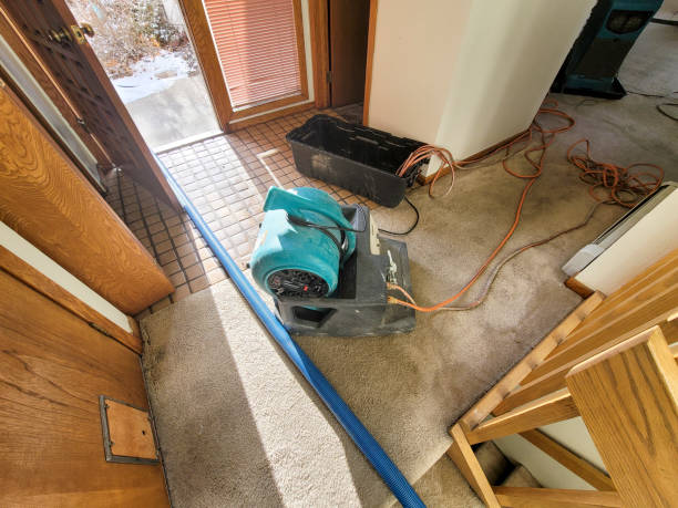Best Fire Damage Restoration  in Lawrenceburg, IN