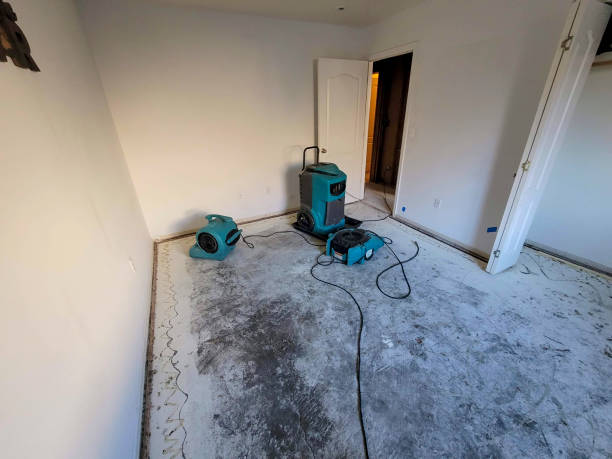 Best Water damage contractors near me  in Lawrenceburg, IN