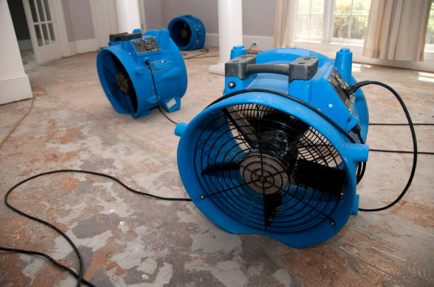 Best Flood restoration services  in Lawrenceburg, IN